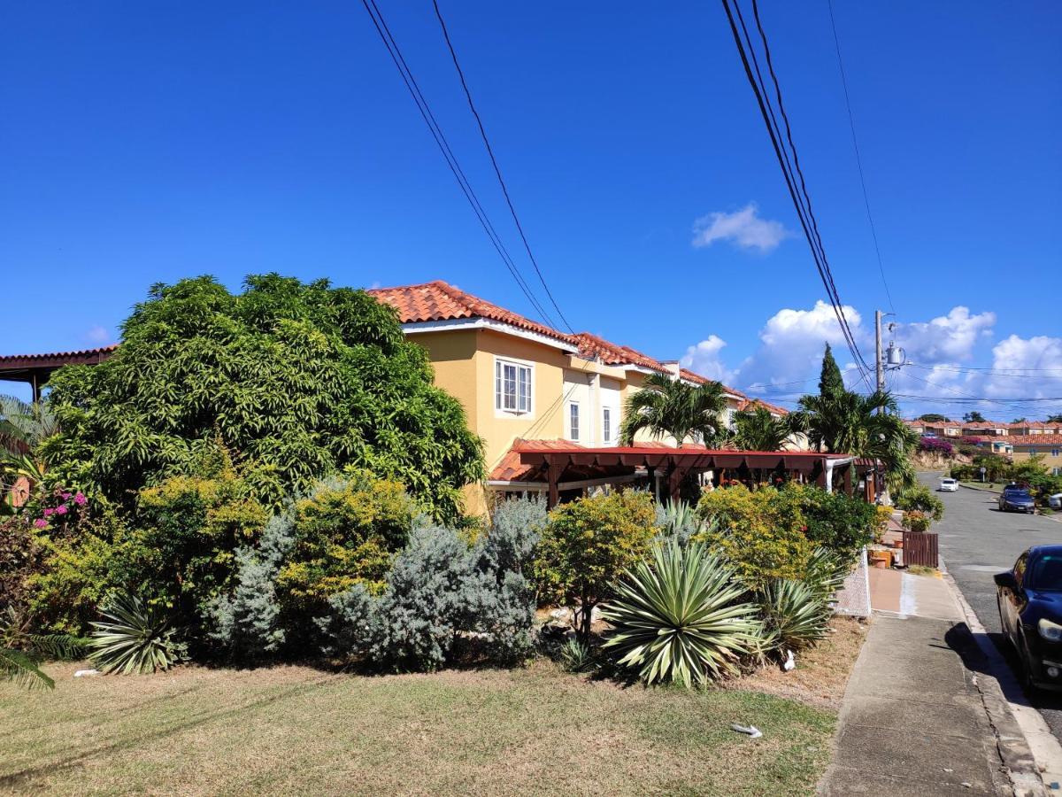 Montego Bay Garden Studio Zewnętrze zdjęcie